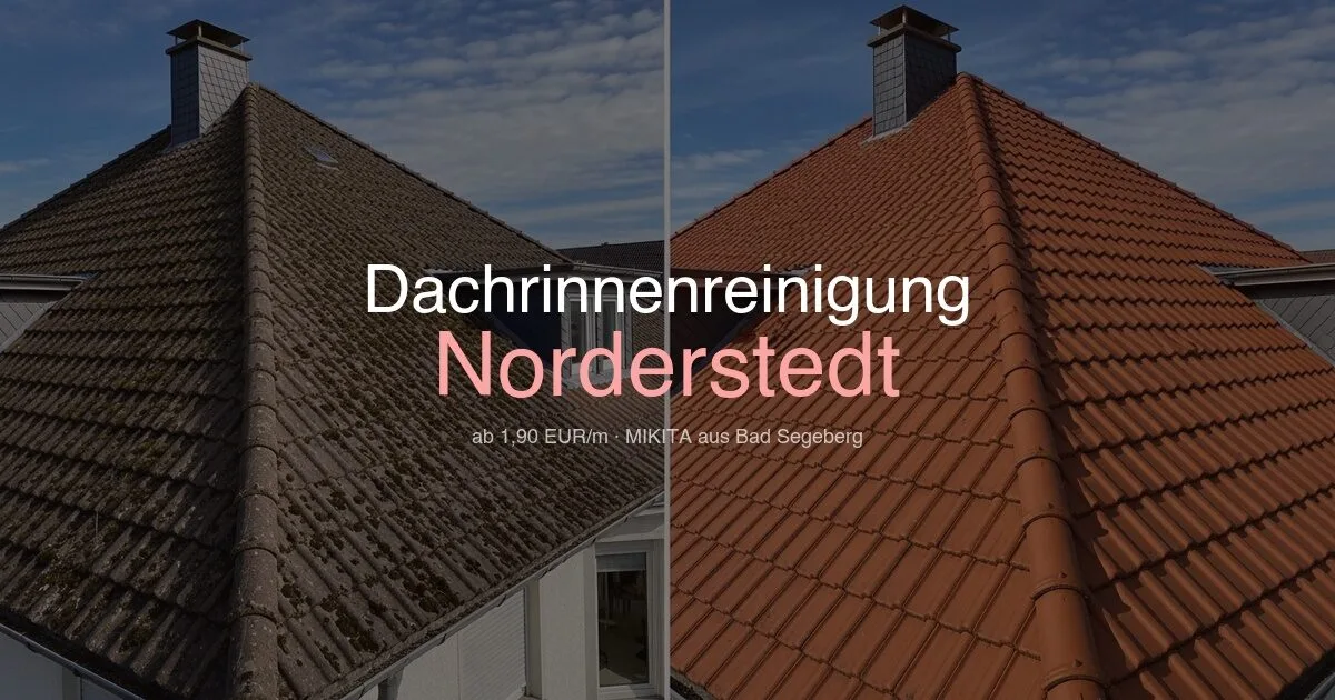 Dachrinnenreinigung Norderstedt vorher nachher