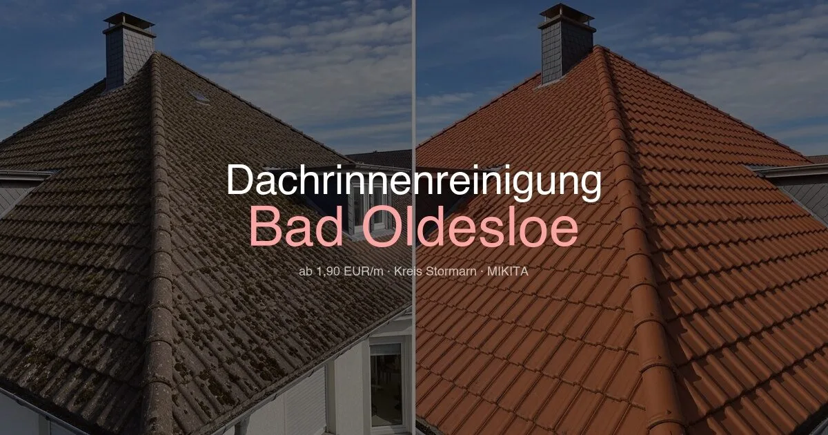 Dachrinnenreinigung Bad Oldesloe