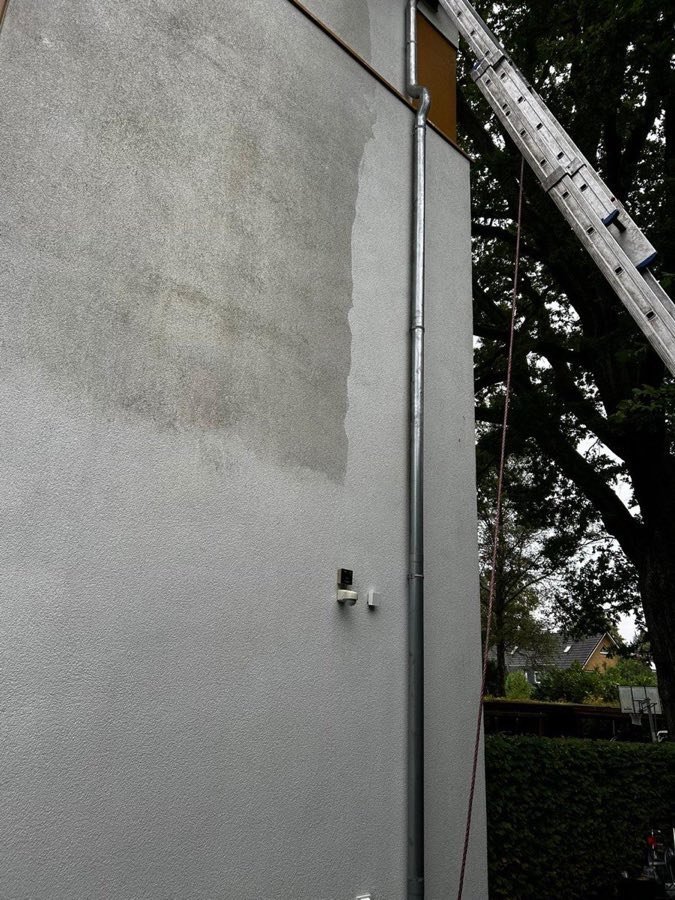 Fassade vorher - Grünbelag