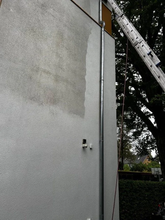 Fassade vorher - Grünbelag
