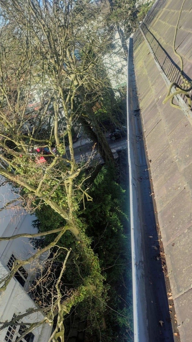 Dachrinne nachher - sauber