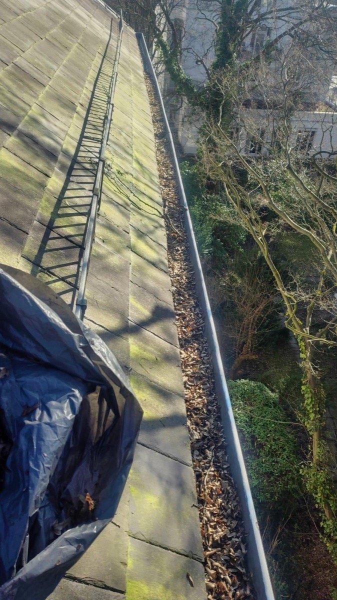 Dachrinne vorher - voller Laub