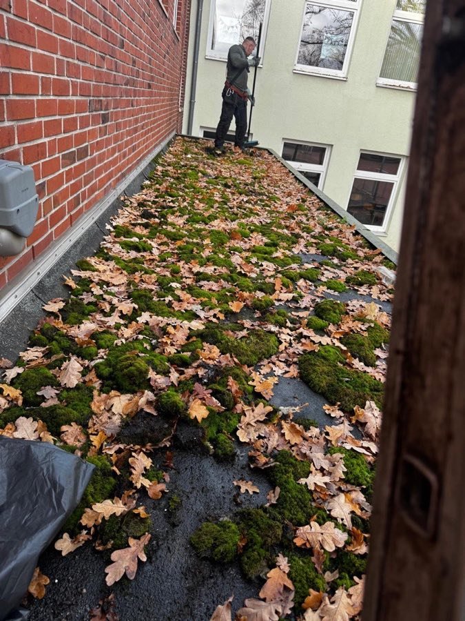 Dach vorher - Moos und Laub